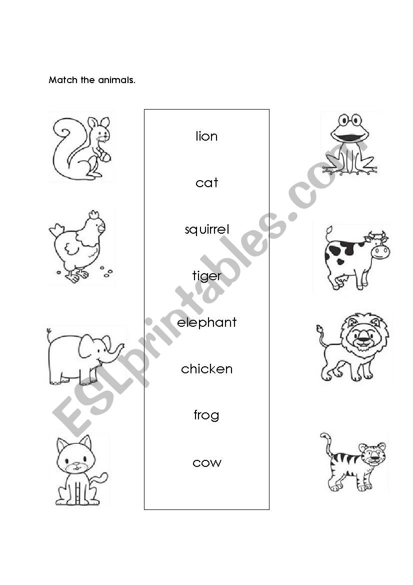 Animals worksheet