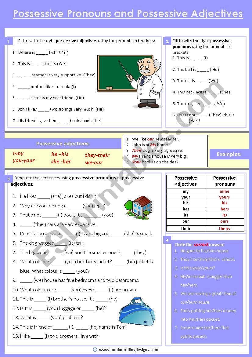 Possessive adjectives and possessive pronouns