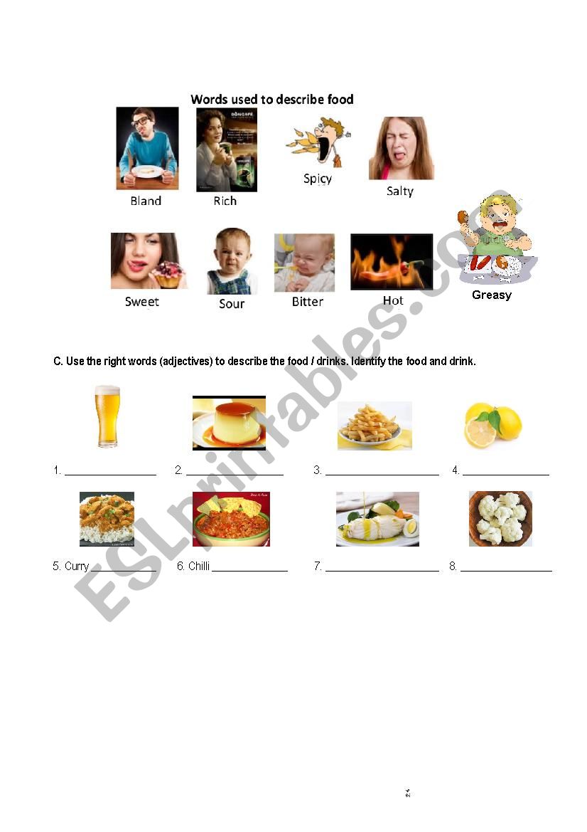 Food patr two worksheet