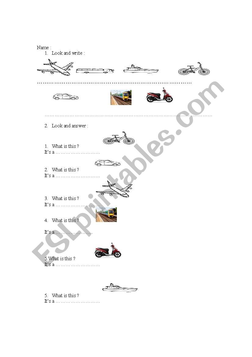 TRANSPORT  worksheet