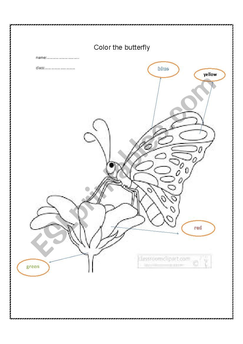 color the butterfly worksheet