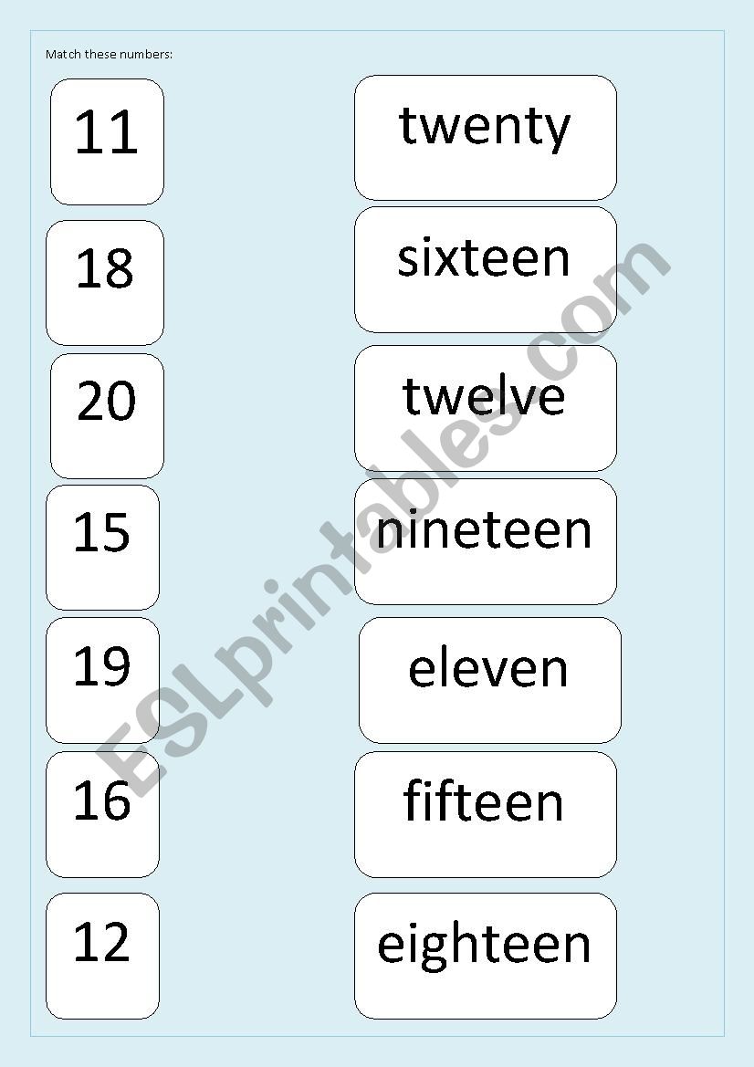 Match  the numbers  worksheet