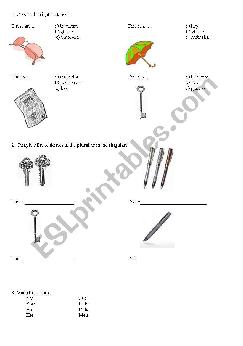 Plurals worksheet