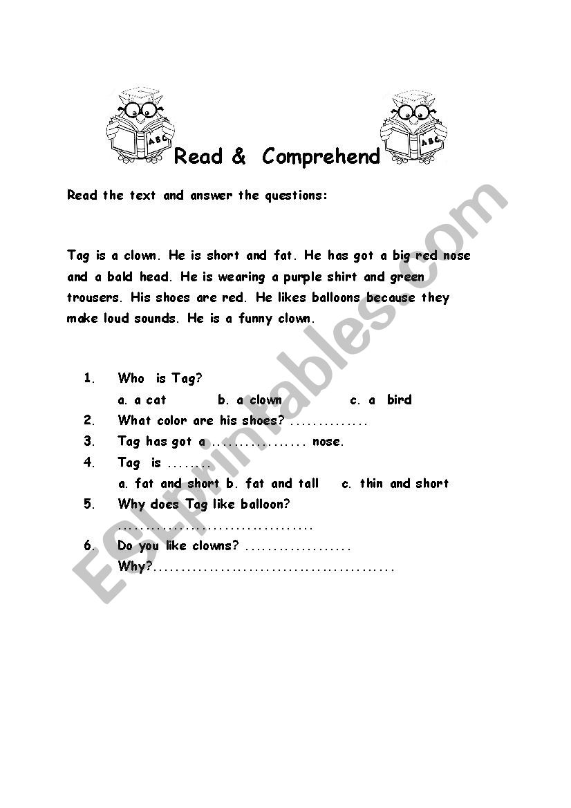 Read and Comprehend worksheet