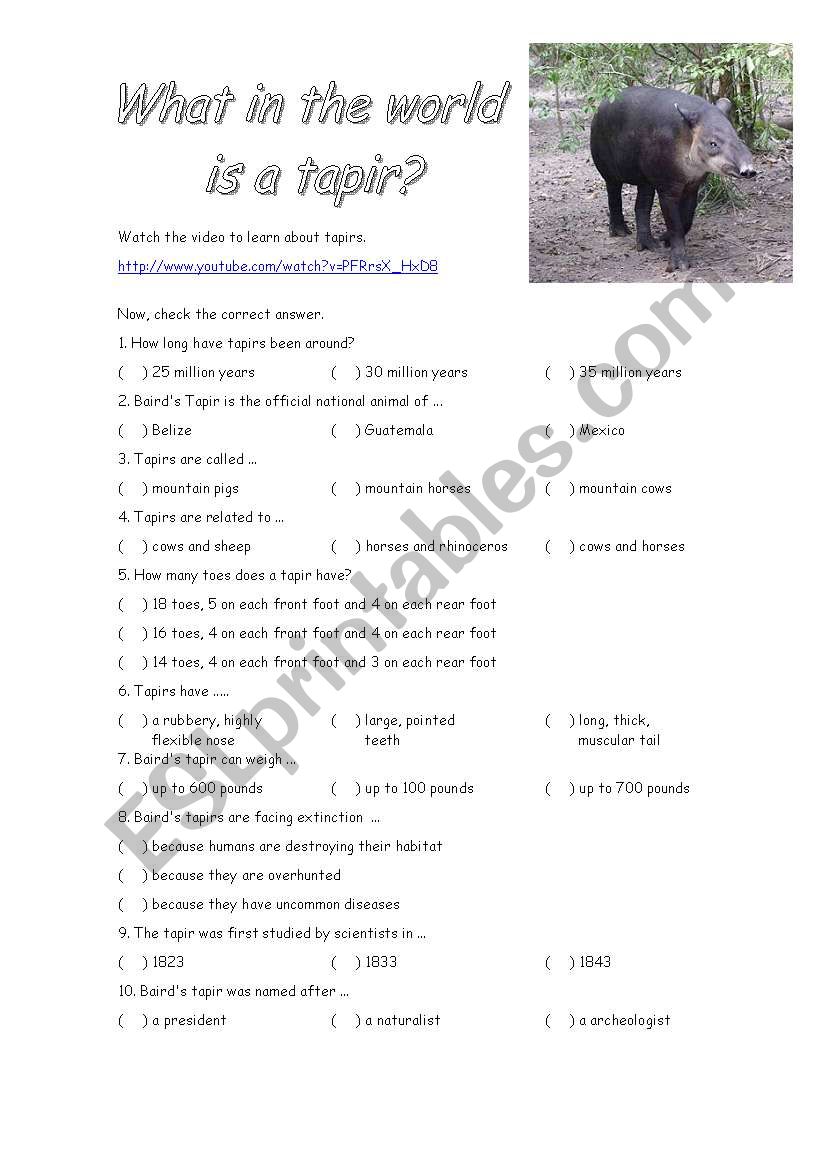 What in the world is a tapir? worksheet