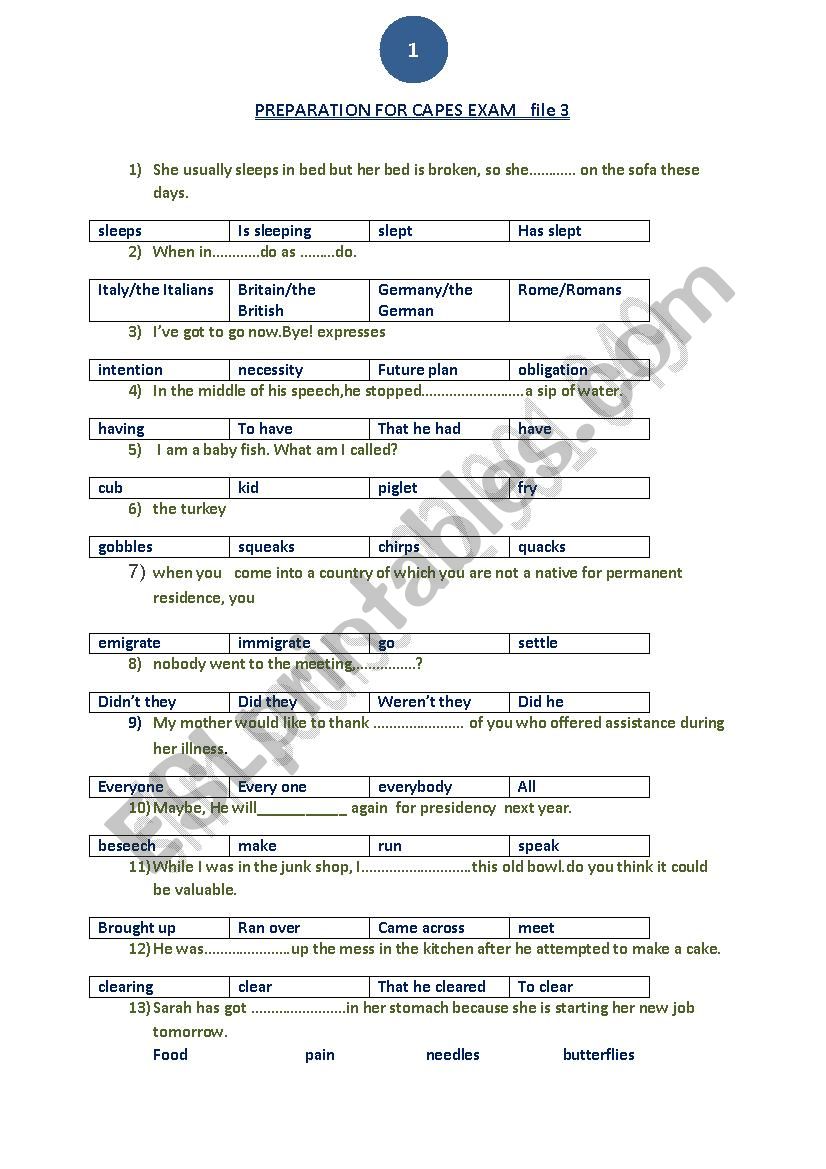 placement test worksheet