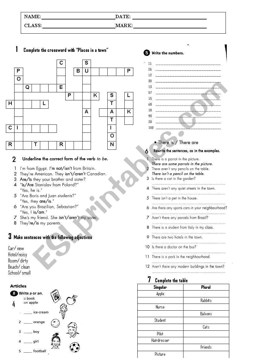 Practical work worksheet