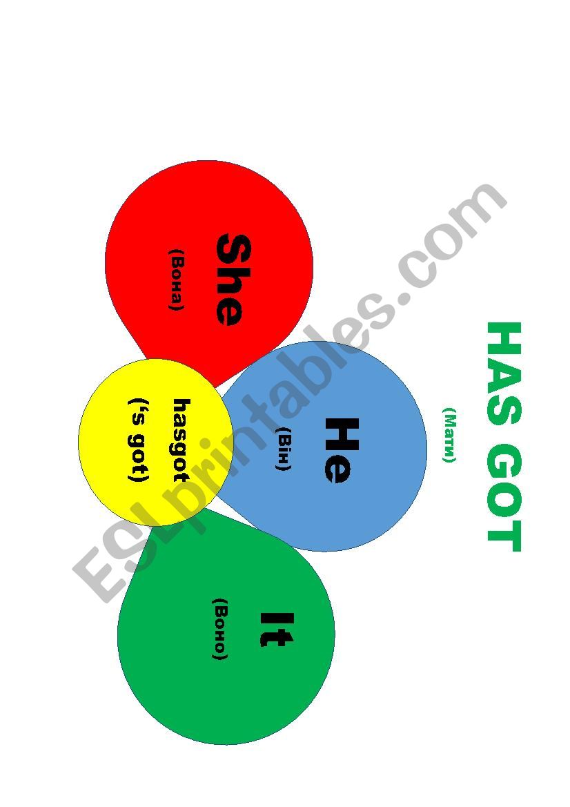 The usage of Have got - has got in the from of flower 