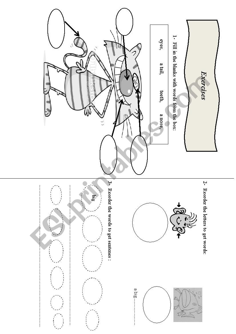 Parts of the body exercises worksheet