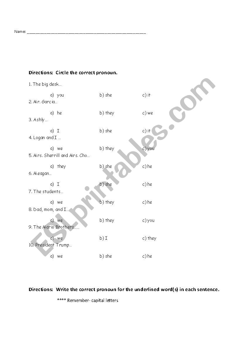 Subject Pronoun Practice worksheet