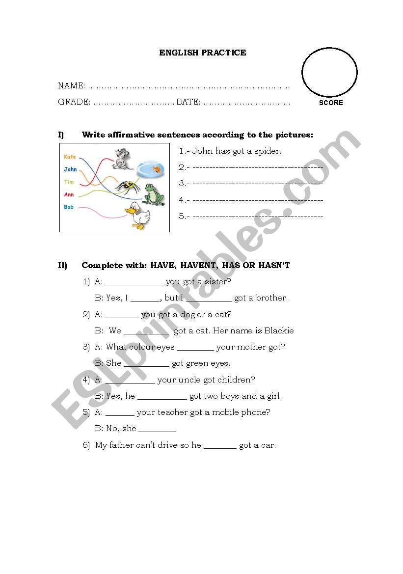 HAVE YOU GOT...??? worksheet