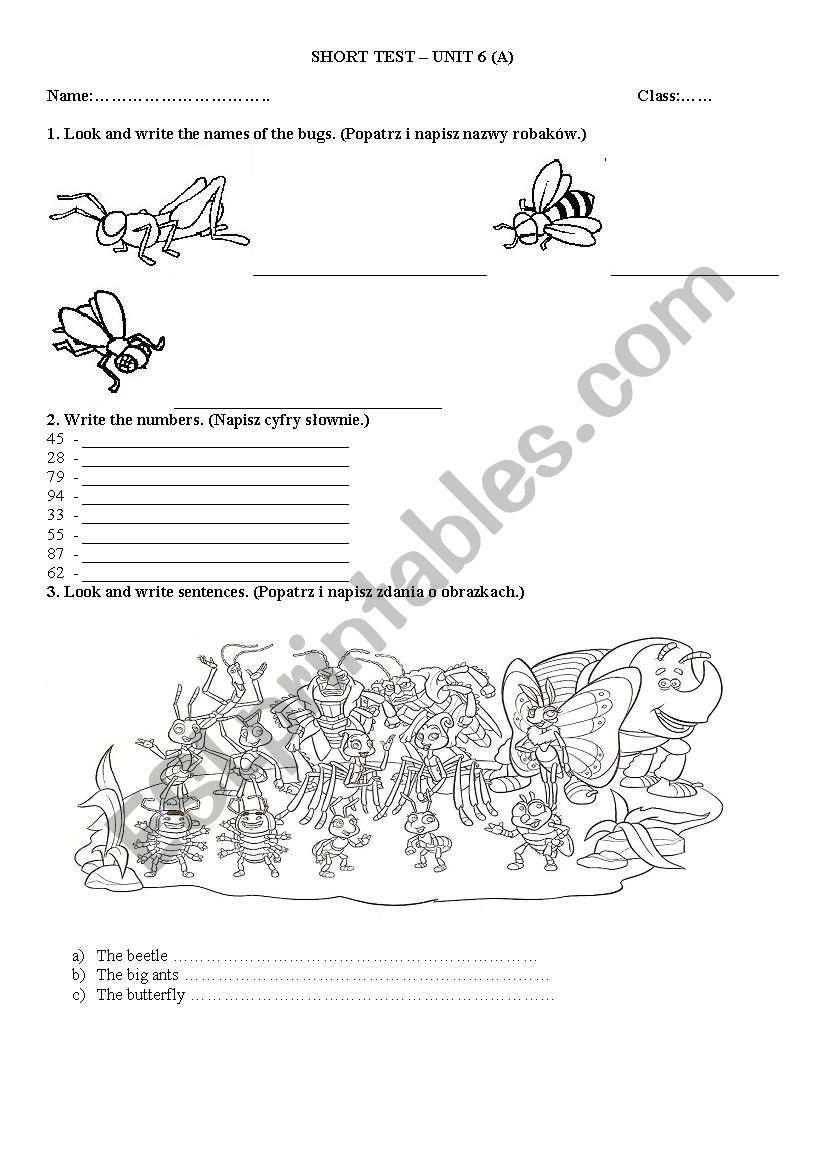 Short tes-bugs worksheet