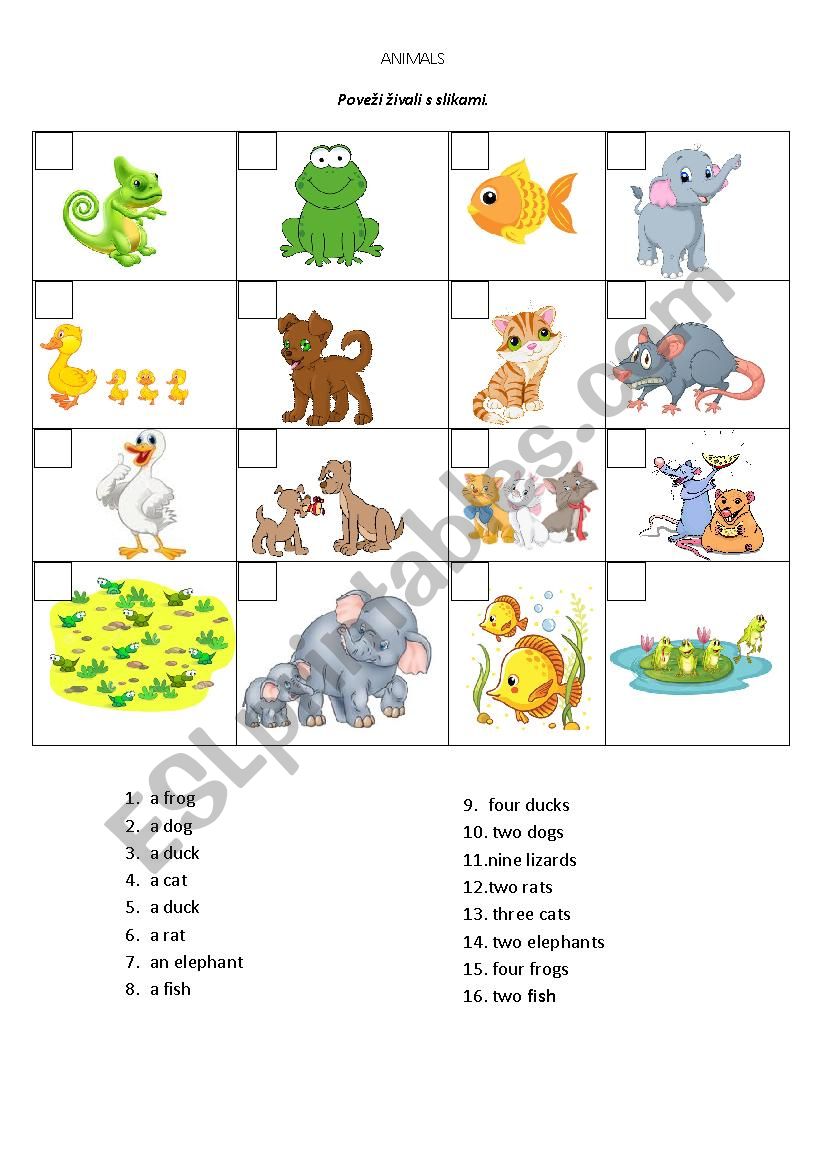 Animals - Singular and Plural - ESL worksheet by mihmo