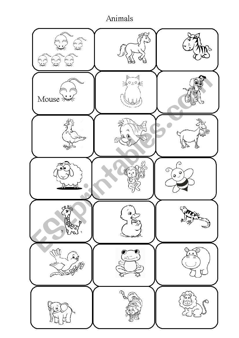 animal worksheet