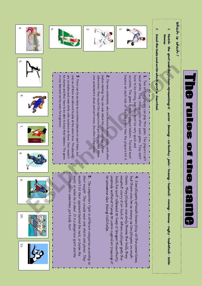 sports rules worksheet