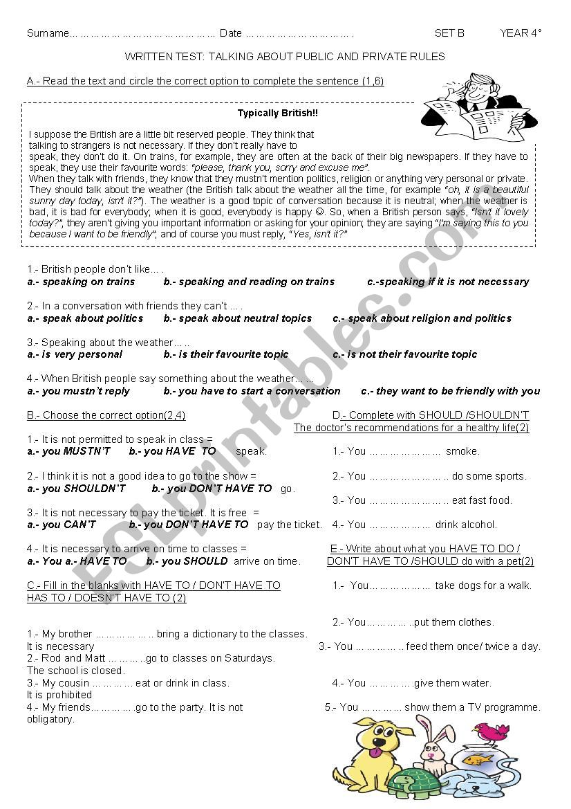 Test Modal Verbs SET B worksheet