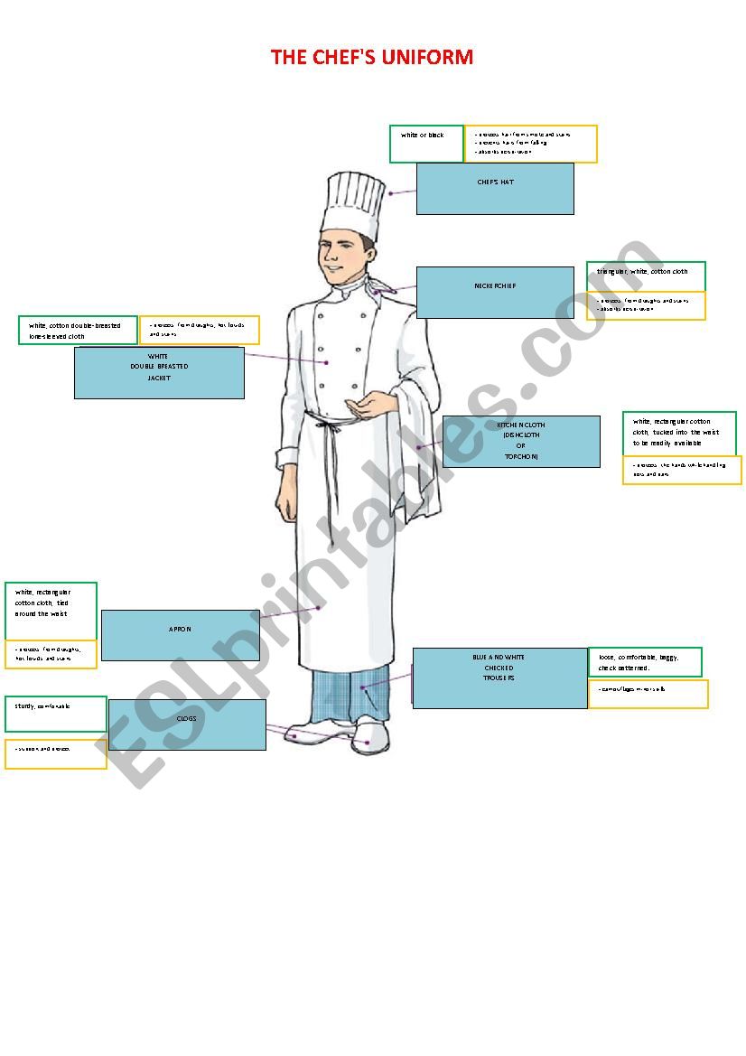 The chef´s uniform - ESL worksheet by cinziafal