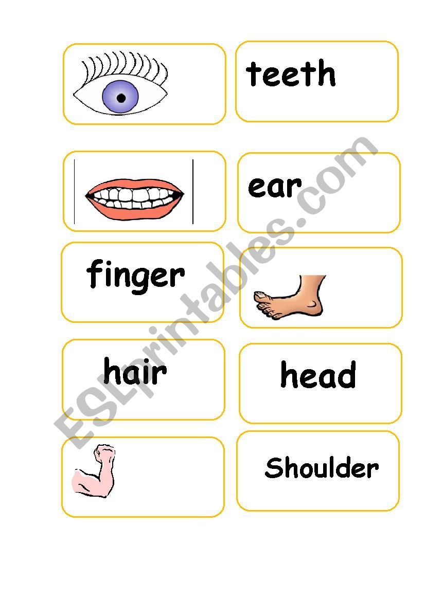 Parts of the body - domino  worksheet