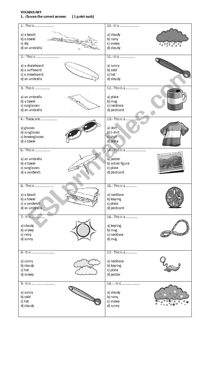 the weather worksheet