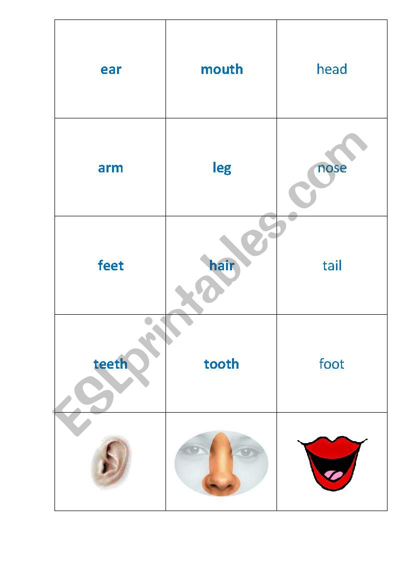 Body Parts memory game worksheet