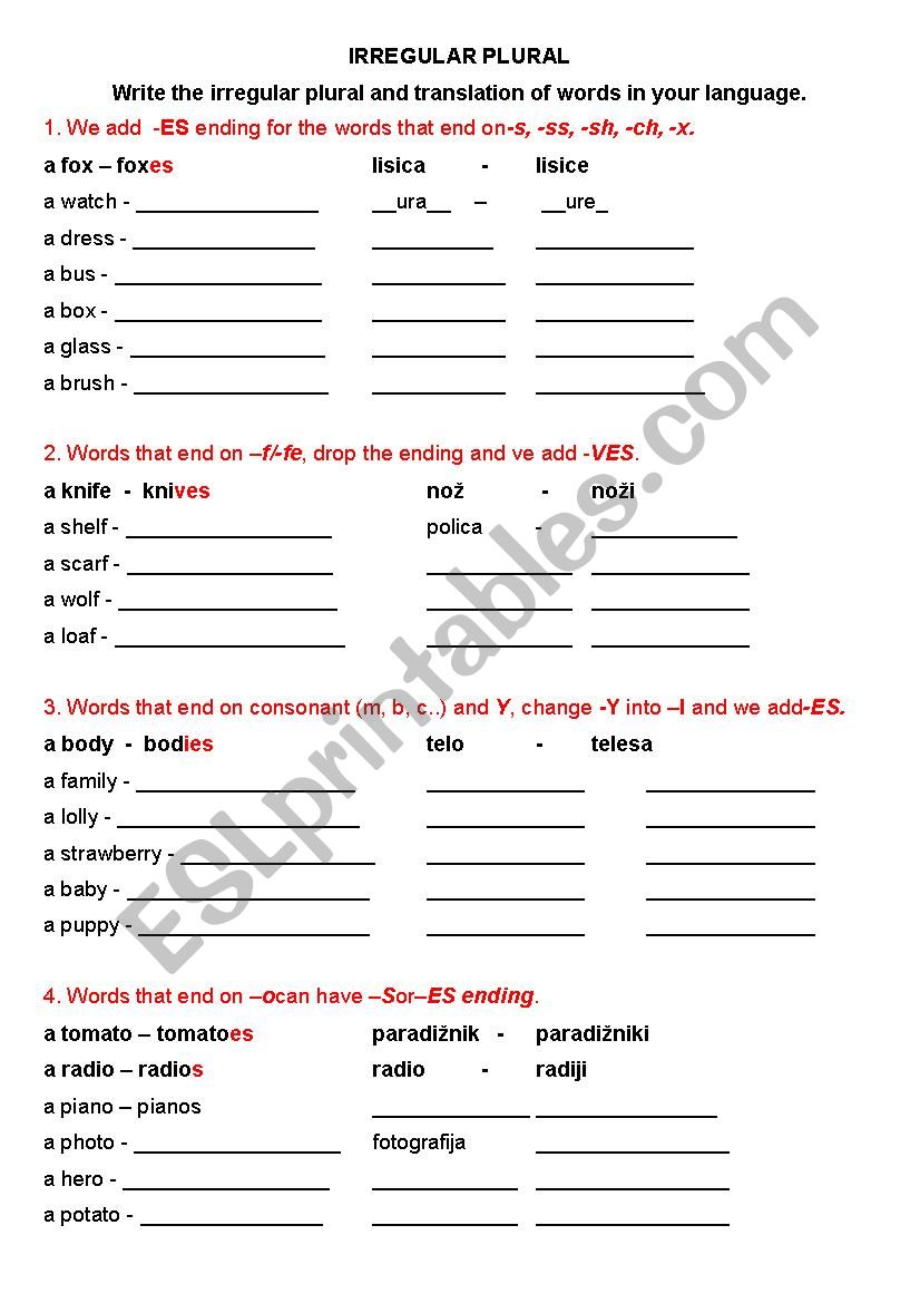 IRREGULAR PLURAL PRACTICE worksheet