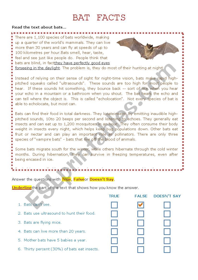 Bat Facts Reading Comprehension - Halloween