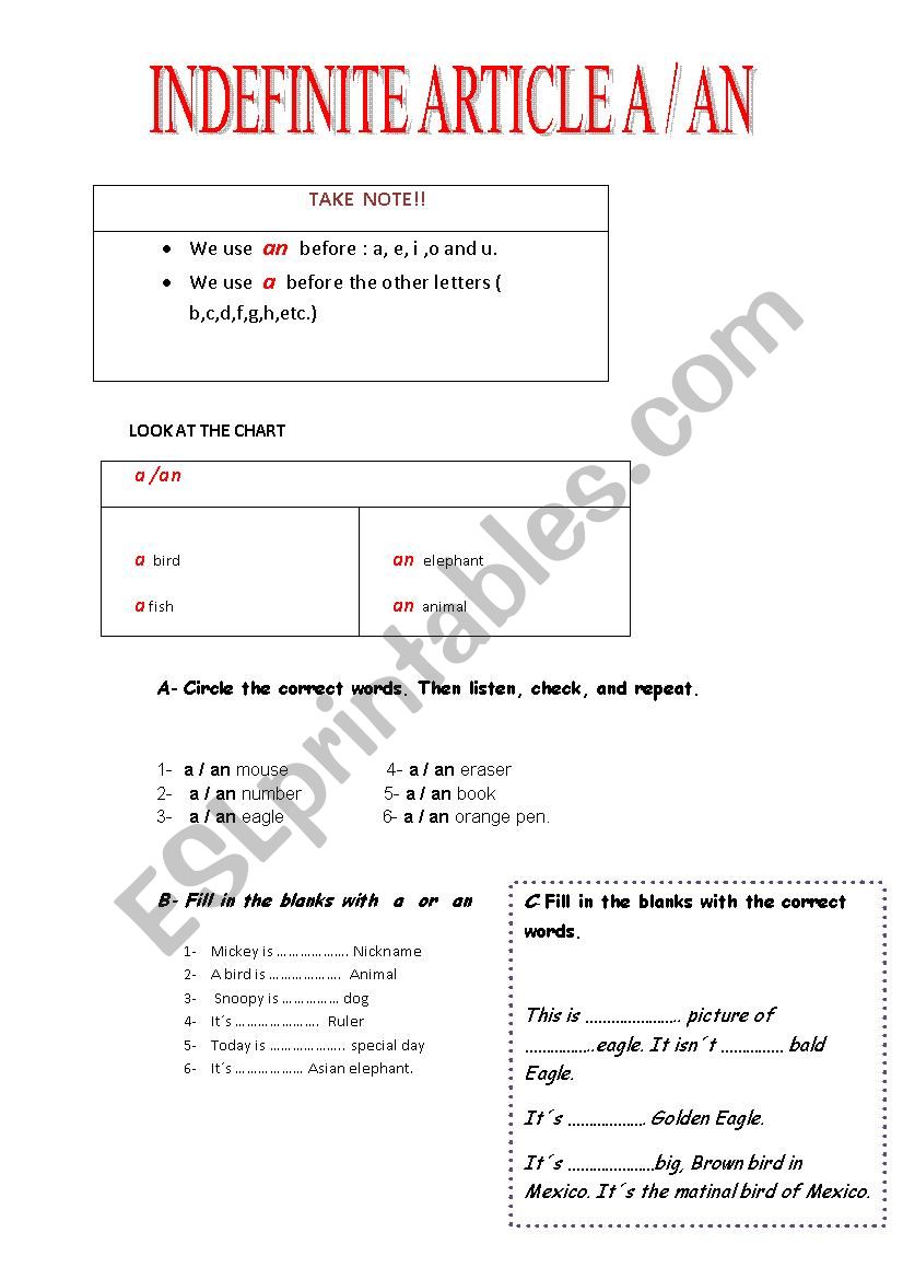 INDEFINITE ARTICLE worksheet