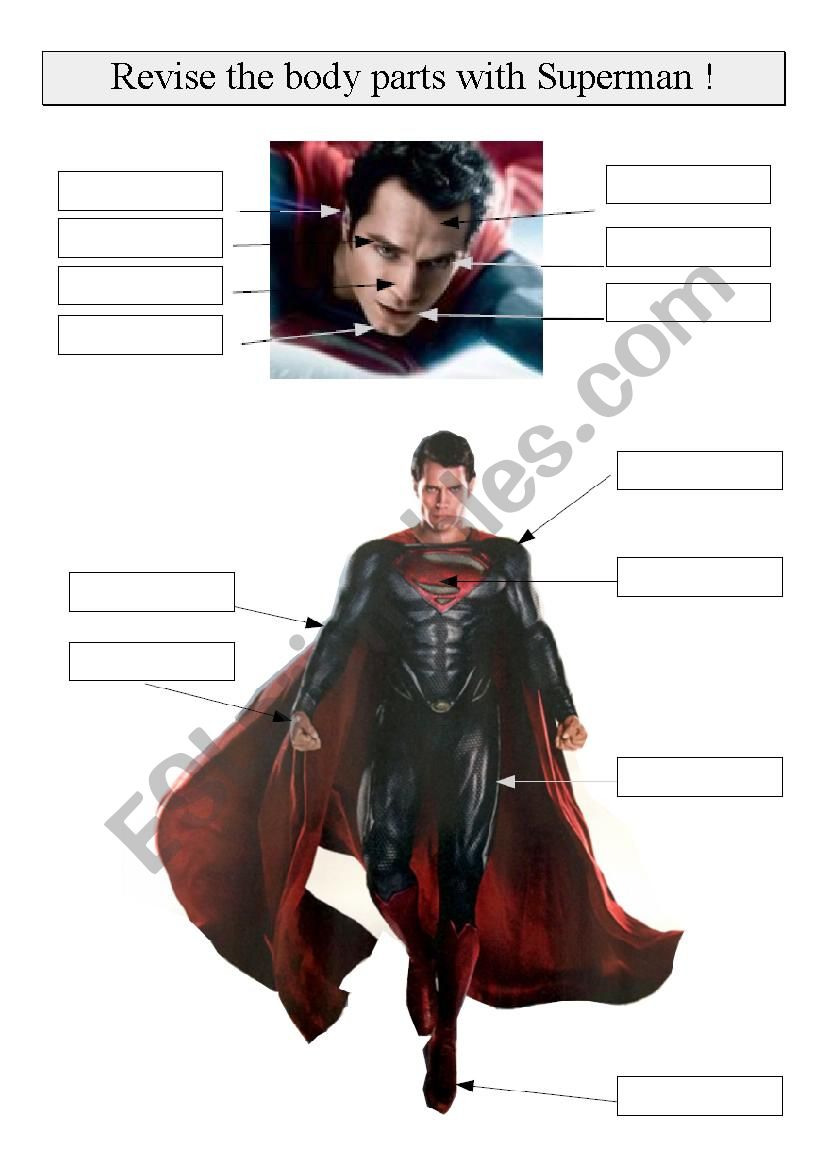 Body Parts Superman worksheet