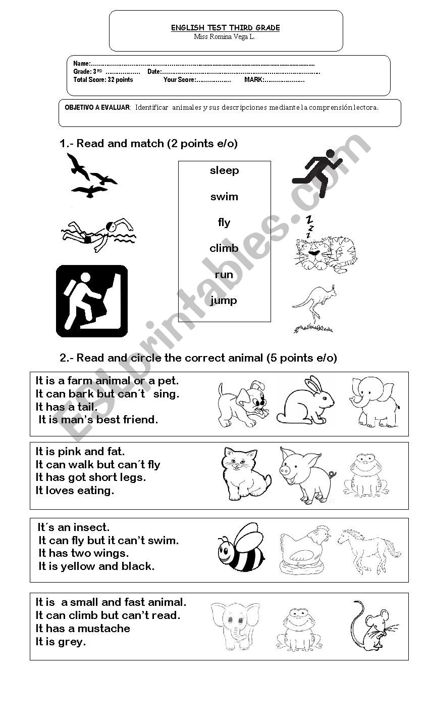 test of animals worksheet