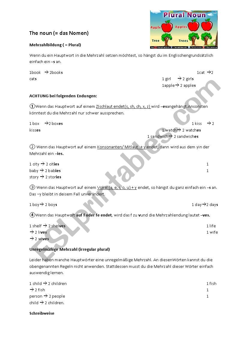 The plural  worksheet