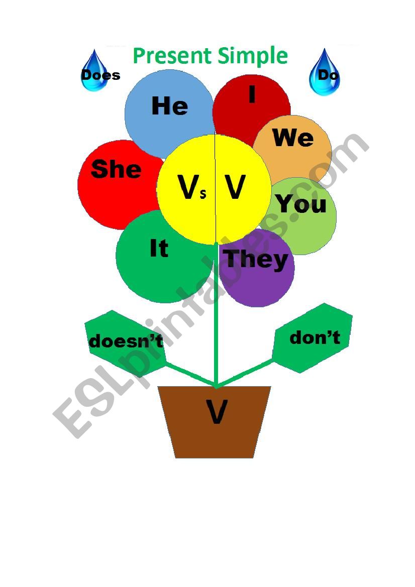 Present Simple Flower worksheet