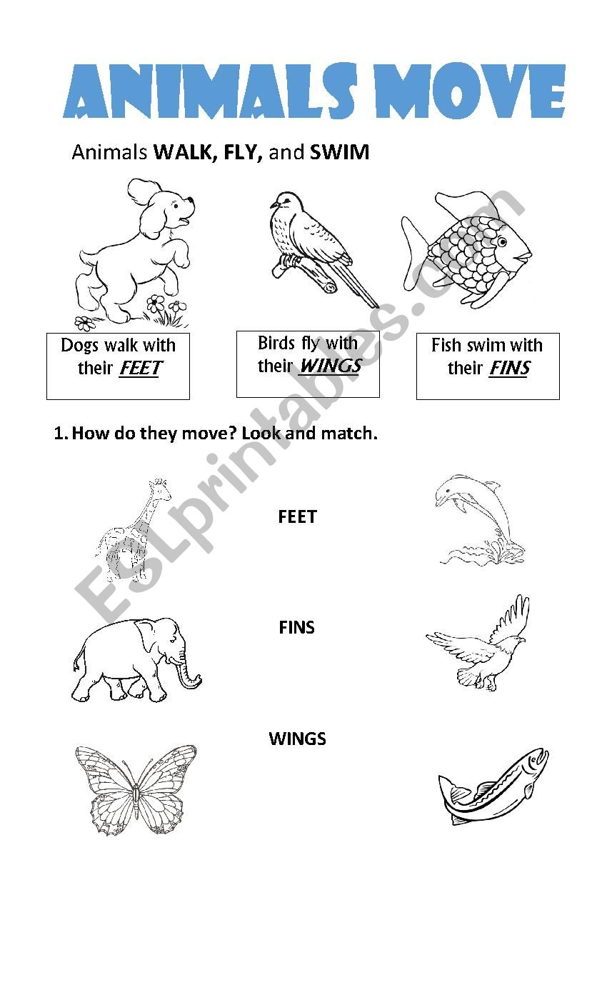 animals 2 worksheet