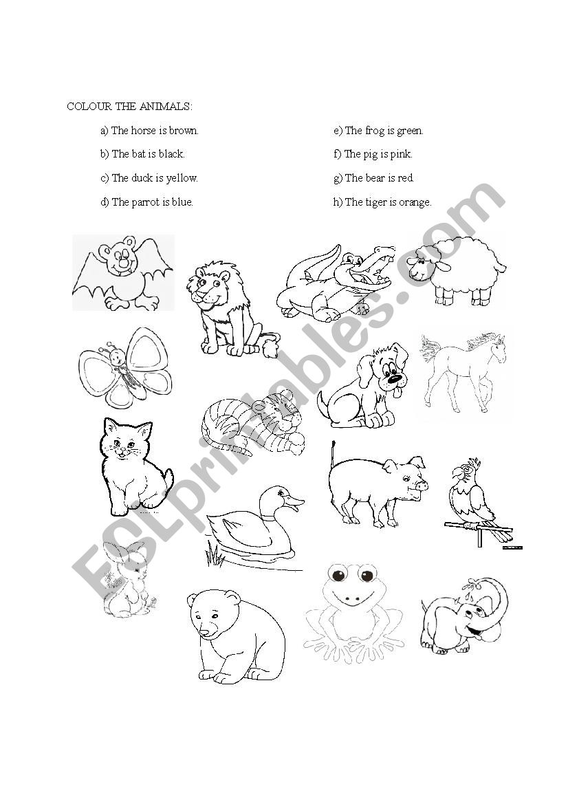 COLOUR THE ANIMAL worksheet