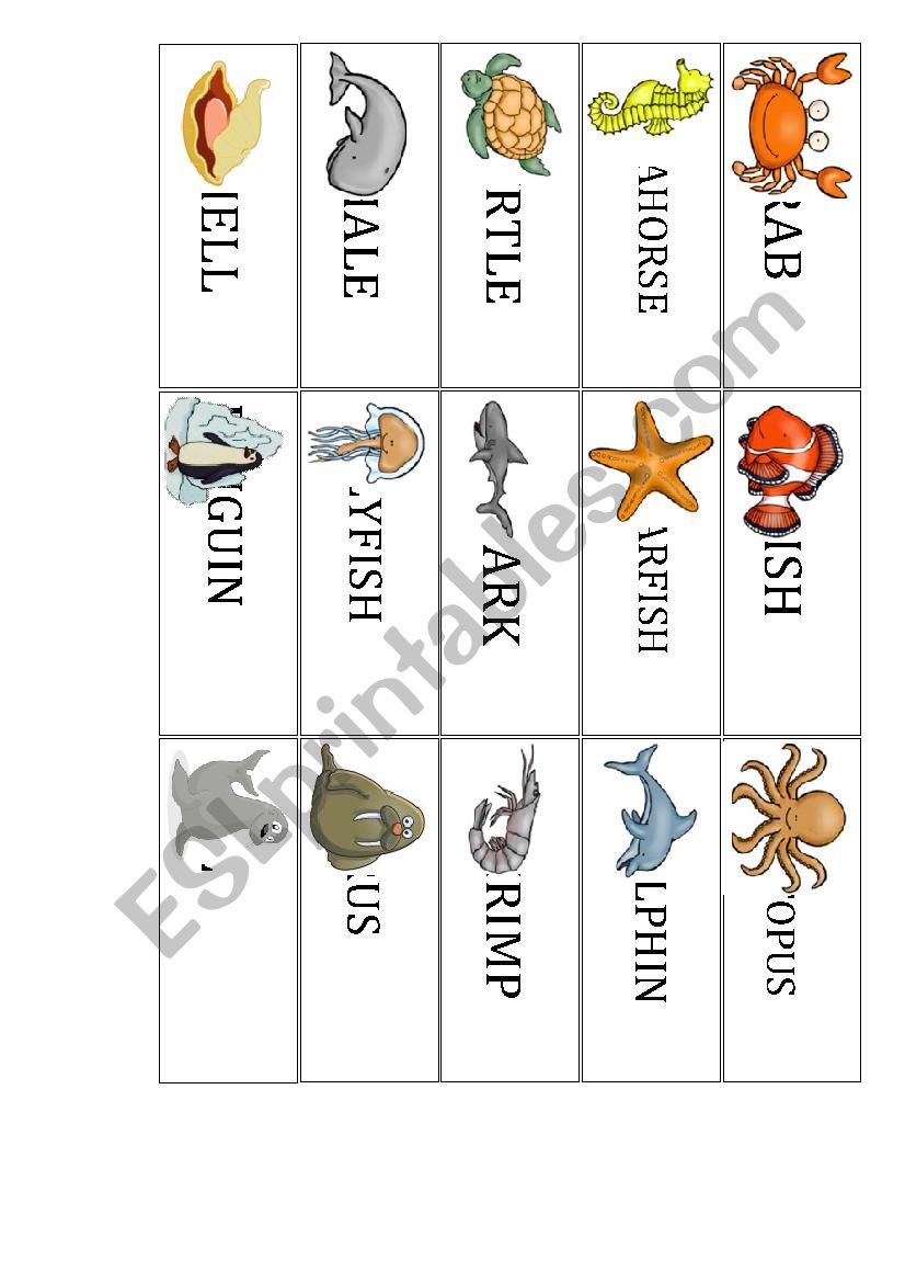 sea animals worksheet