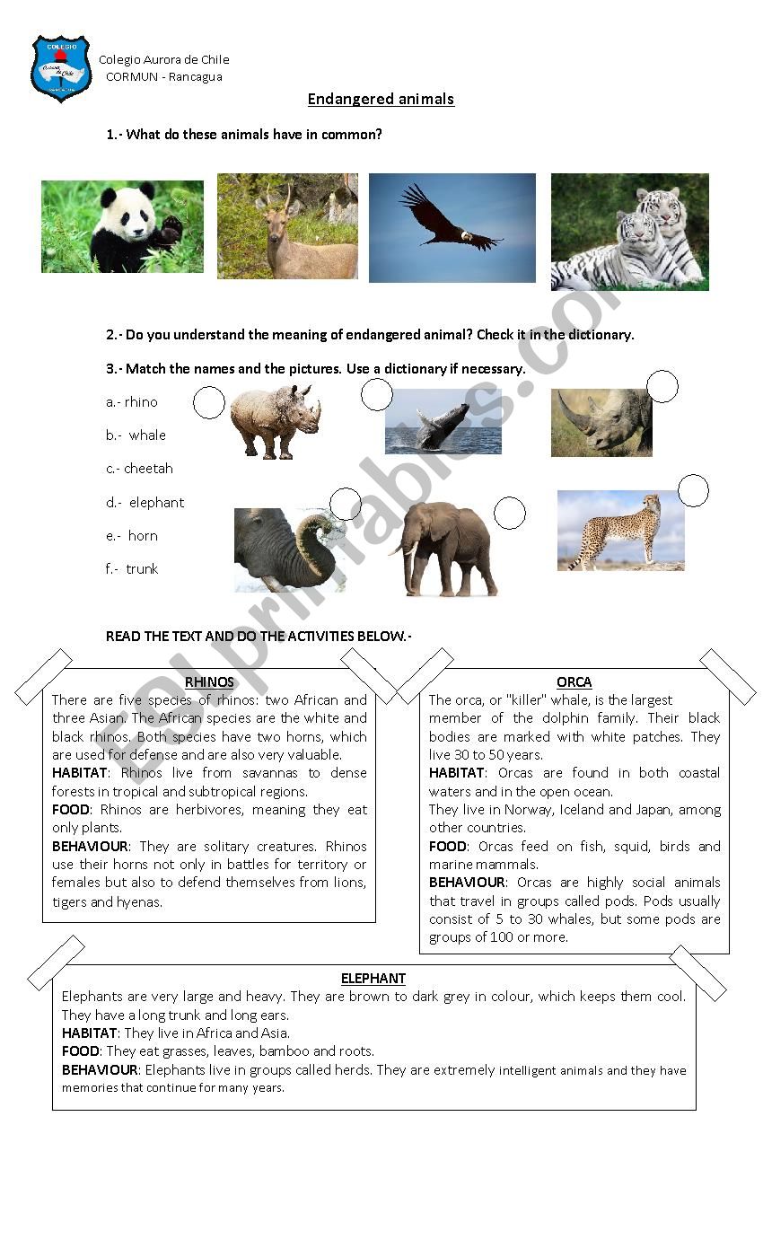 endanger animals - ESL worksheet by muriel1987