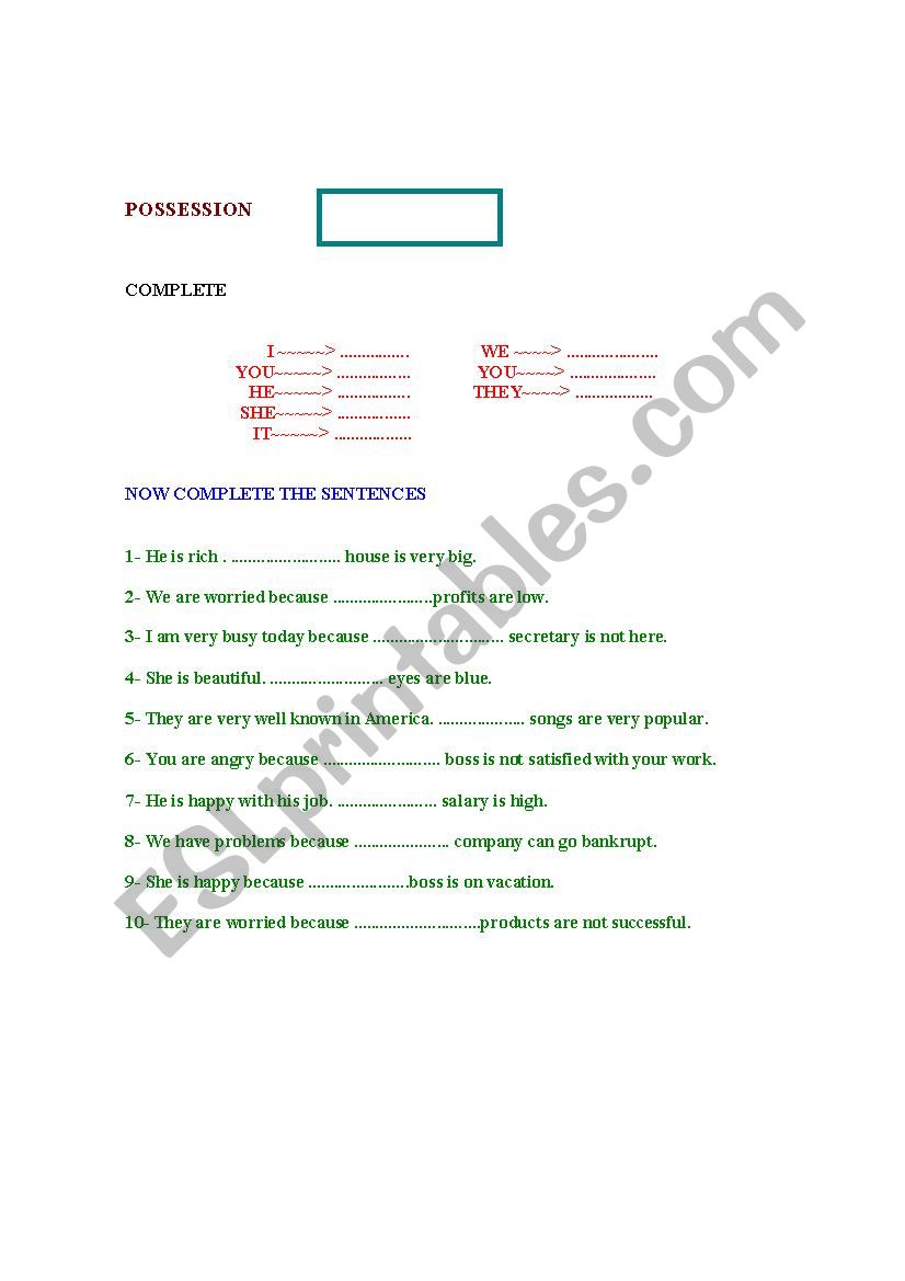 Possessive Adjectives worksheet