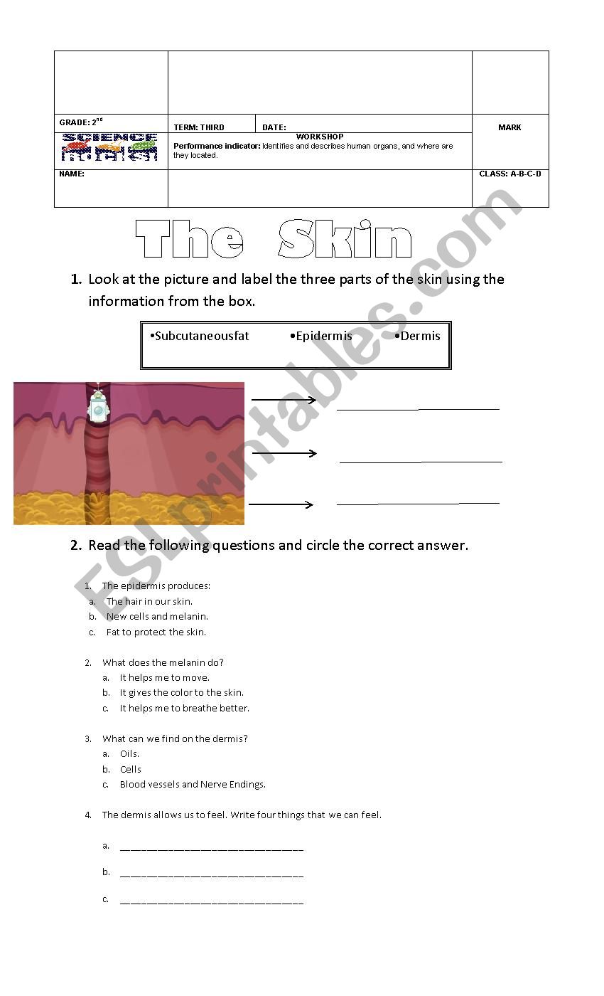 The body (Organism) worksheet