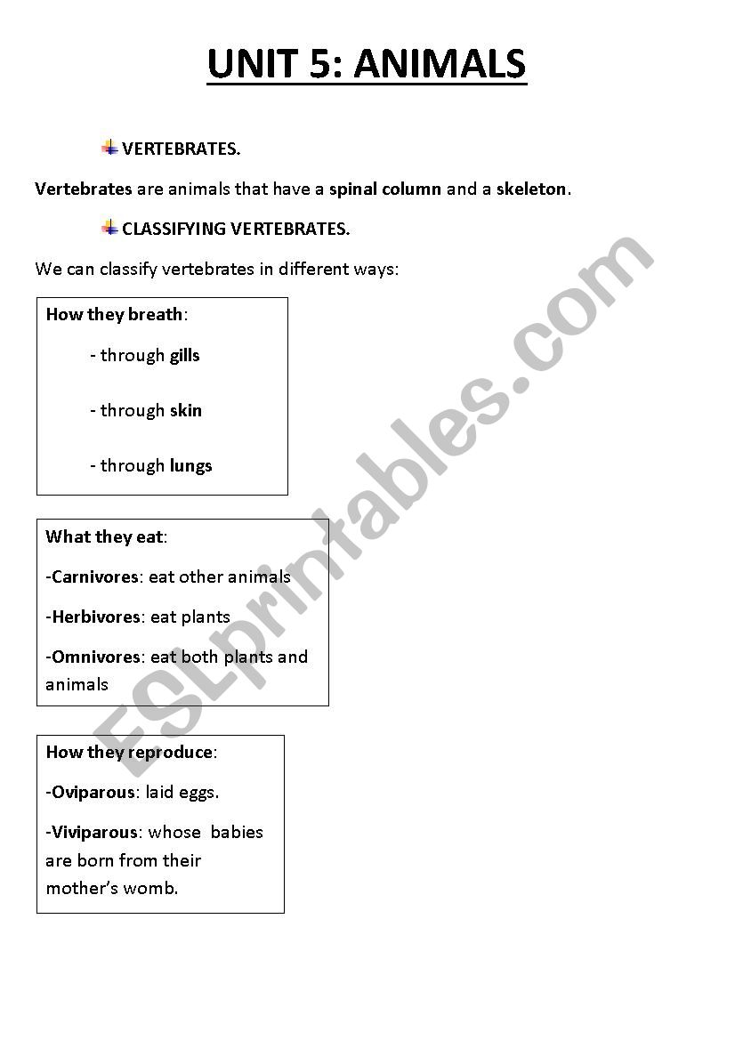 Animals worksheet