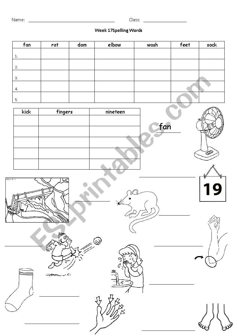 Spelling Activity worksheet