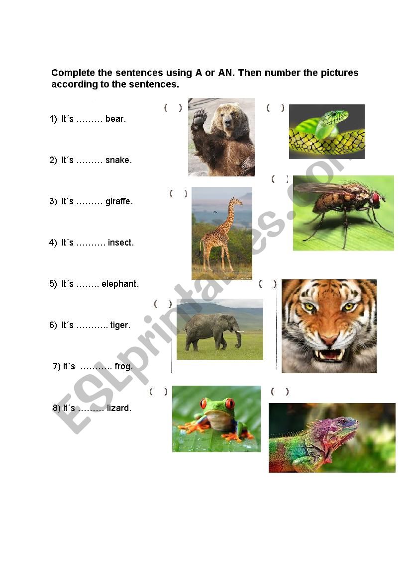 A X AN worksheet