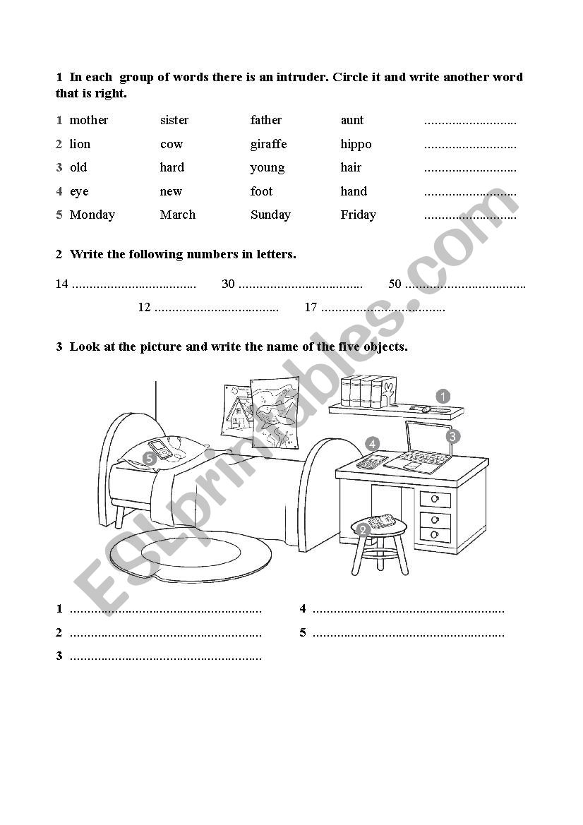 vocabulary test worksheet