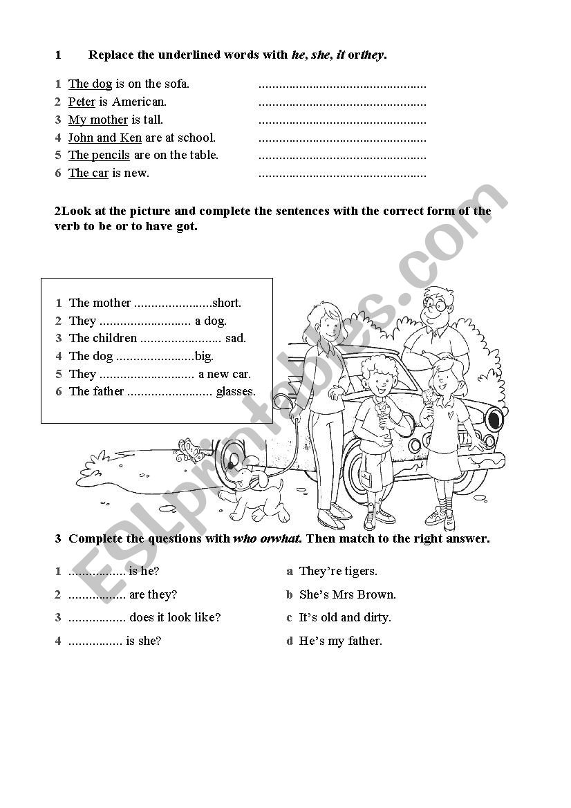 grammar test worksheet