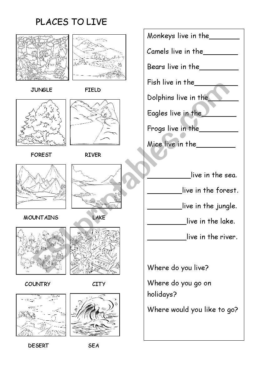 Where do the animals live? worksheet