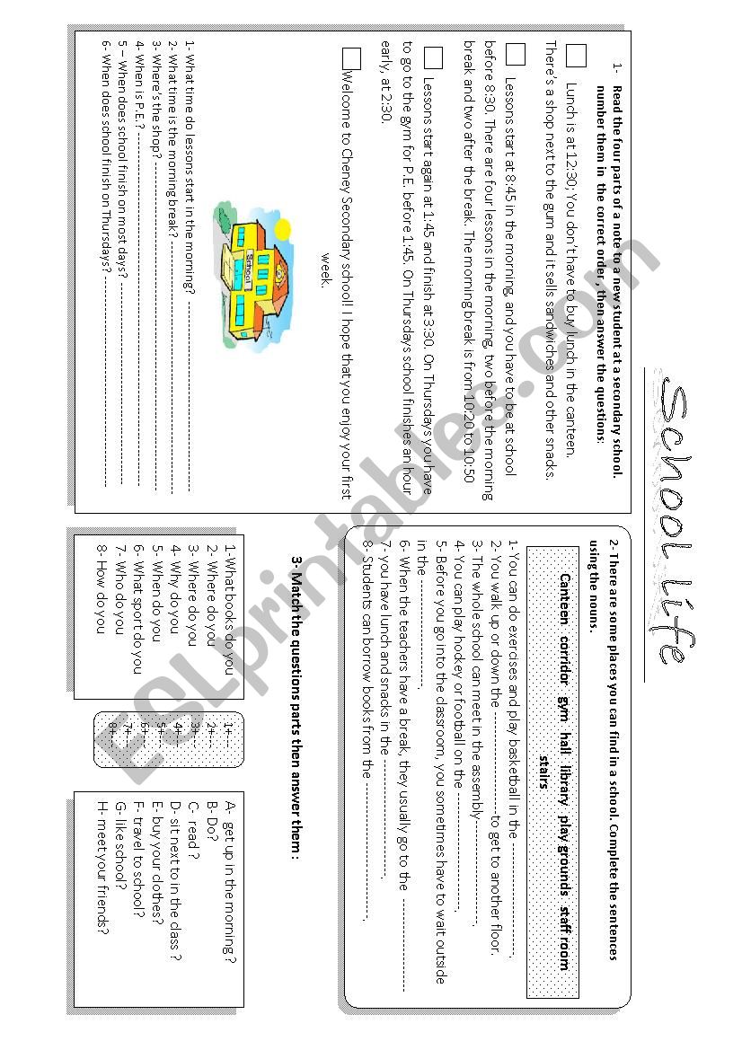 school life  worksheet