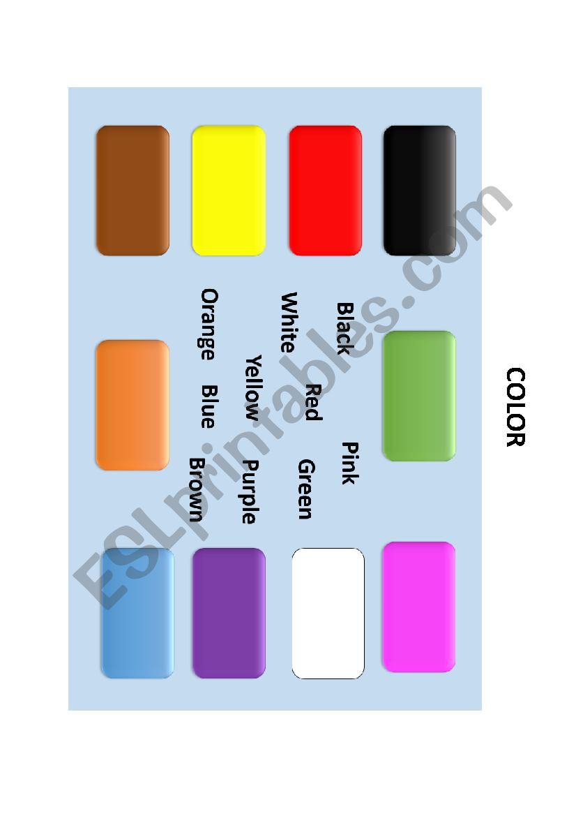 colors  worksheet