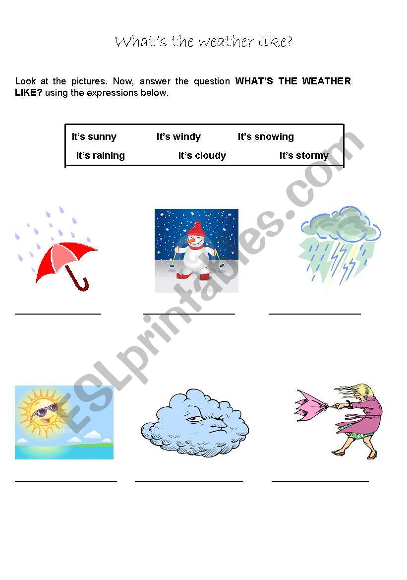 Weather worksheet