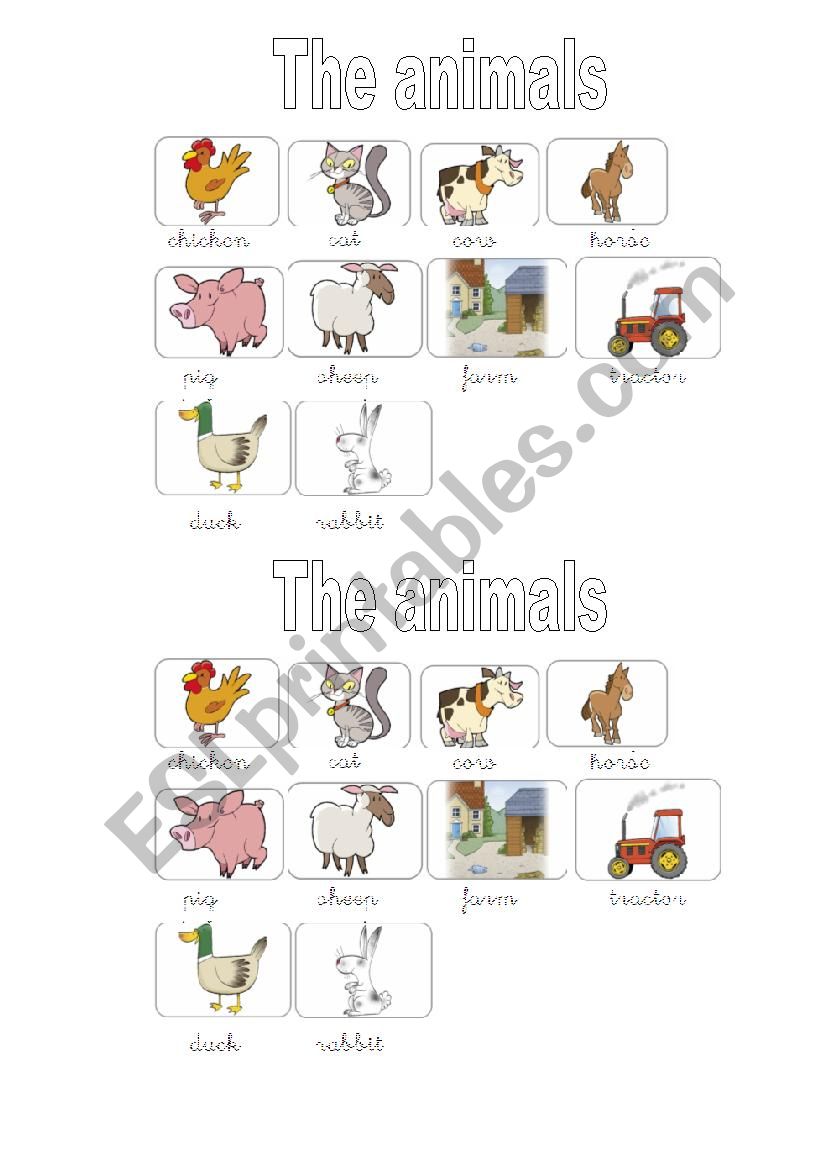 Animals worksheet