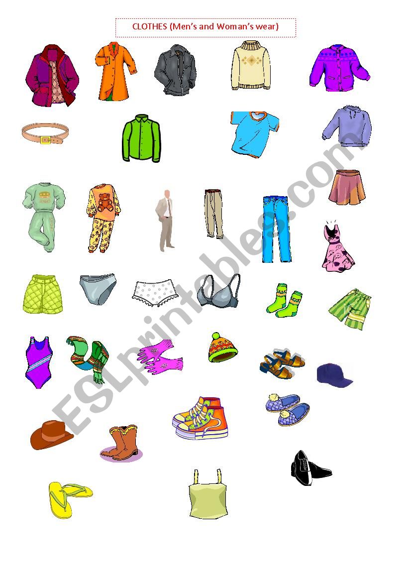 Clothes worksheet