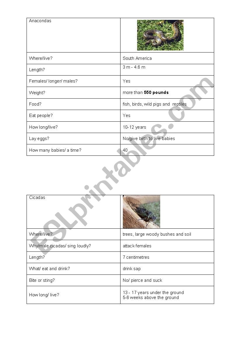 Questions and Answers about Anacondas and Cicadas