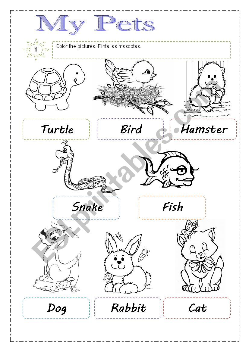 Pets worksheet